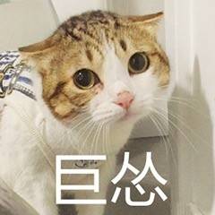 collentions_imge_051402_CCCC