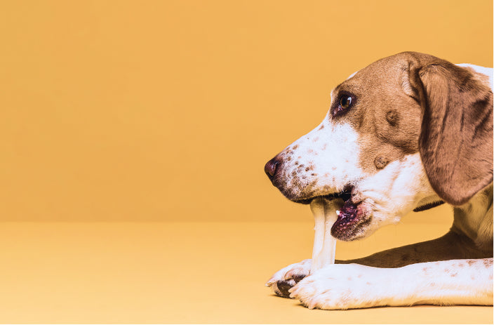 i can see your's new car