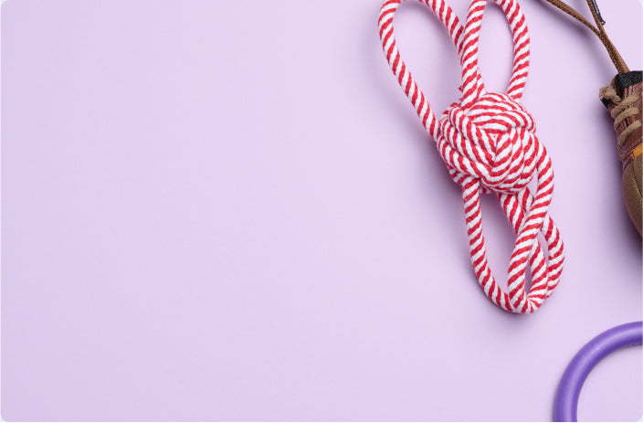 product_imge_051401_CCCC